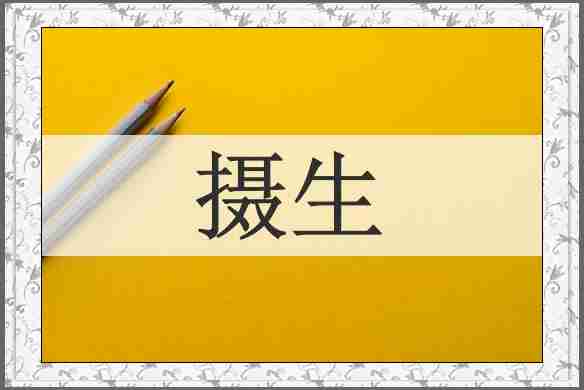 摄生