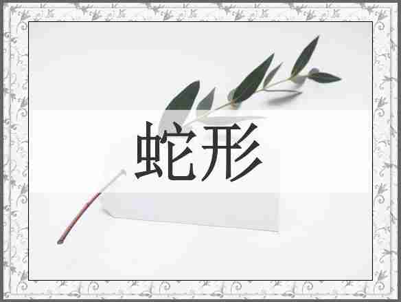 蛇形