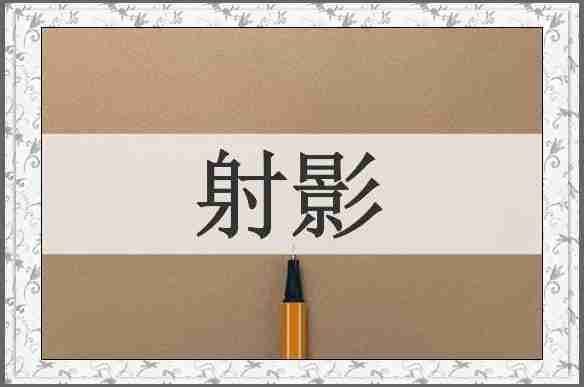 射影