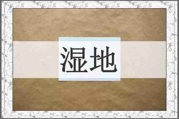 湿地