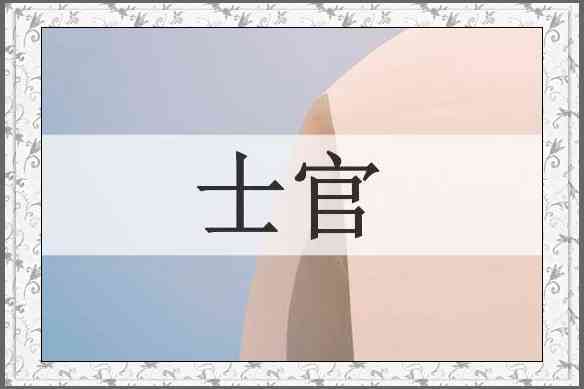 士官