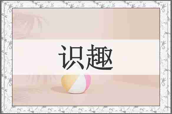 识趣