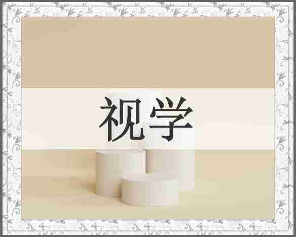 视学