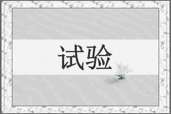 试验