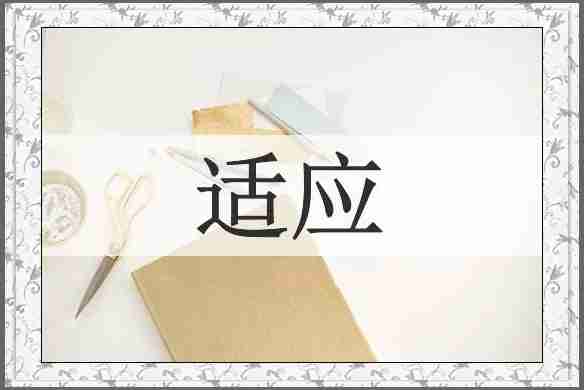 适应