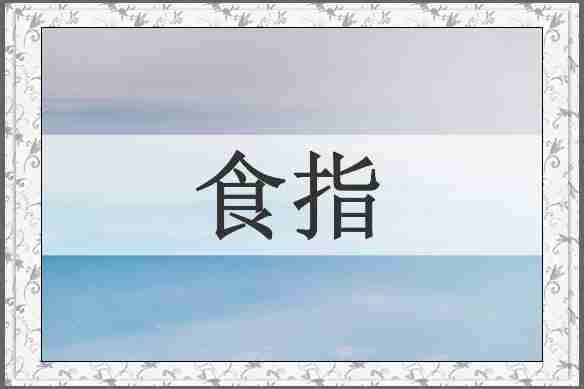 食指