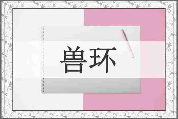 兽环