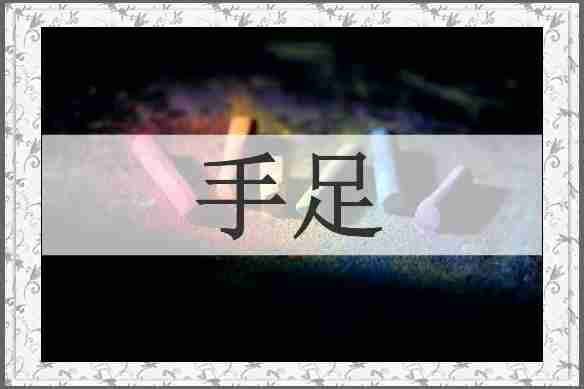 手足