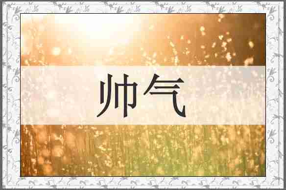 帅气