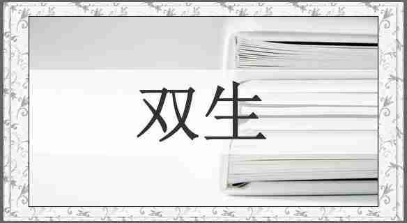 双生