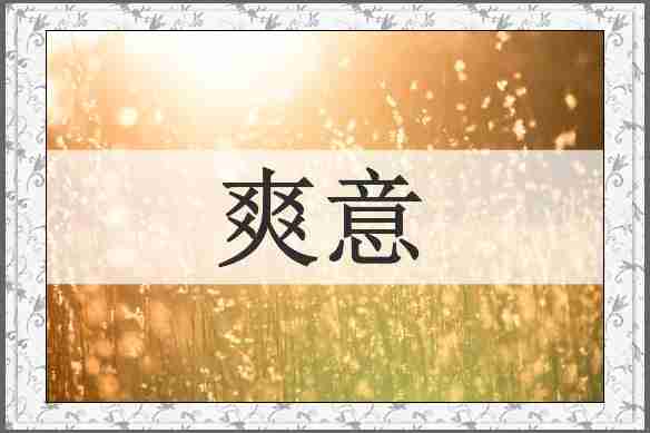 爽意