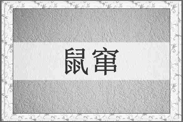 鼠窜