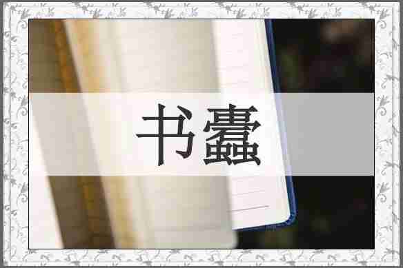 书蠹