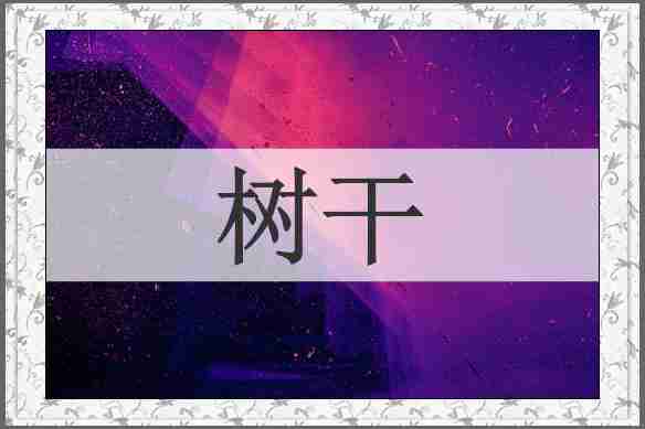 树干