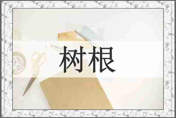 树根