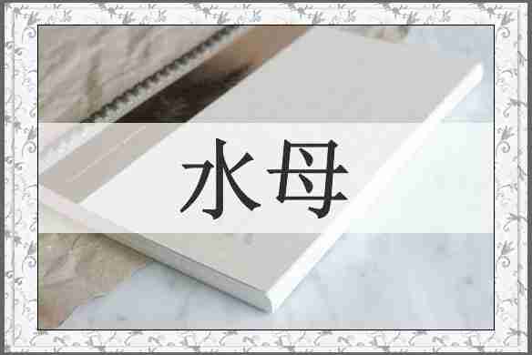 水母