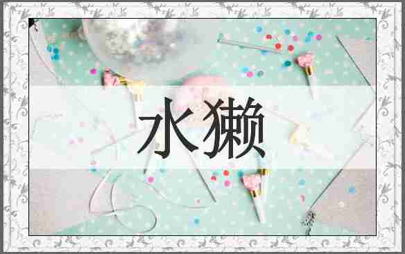 水獭