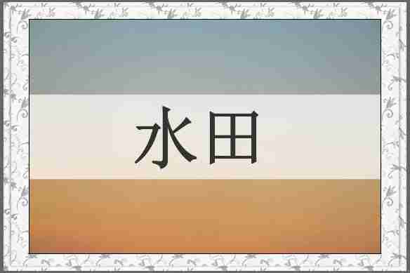 水田