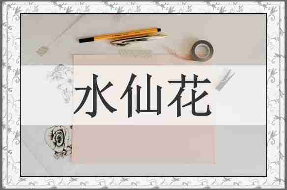 水仙花