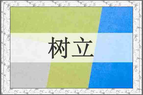树立