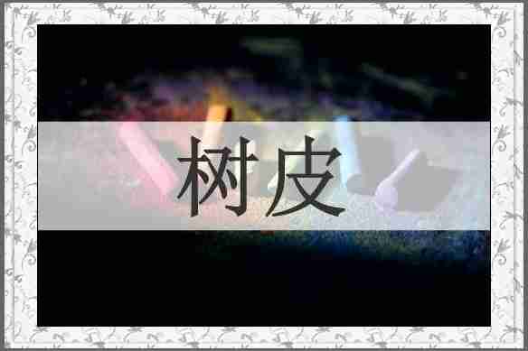 树皮