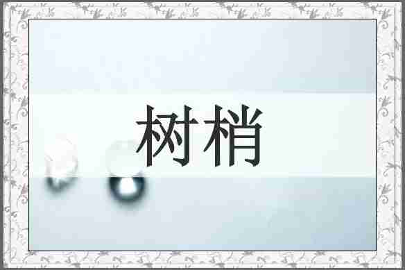 树梢