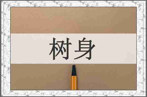 树身