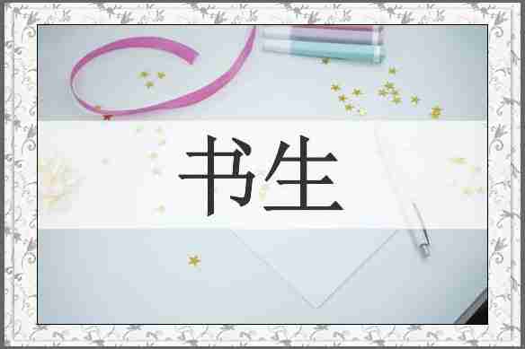 书生