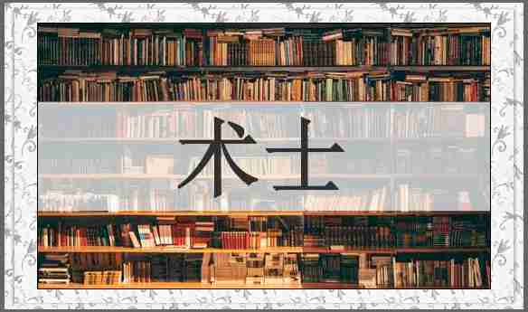 术士