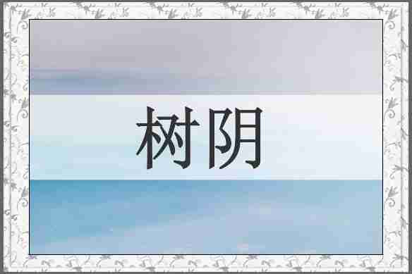 树阴