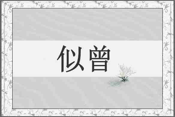 似曾