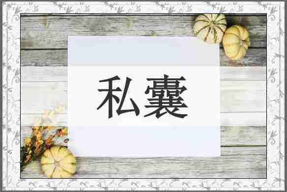 私囊