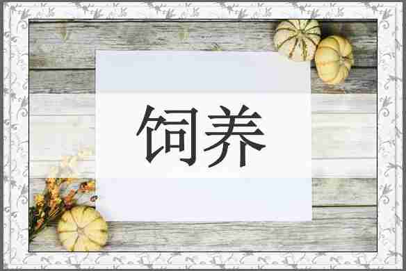 饲养