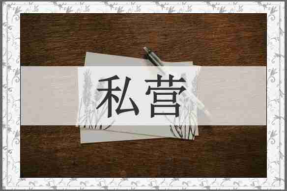 私营