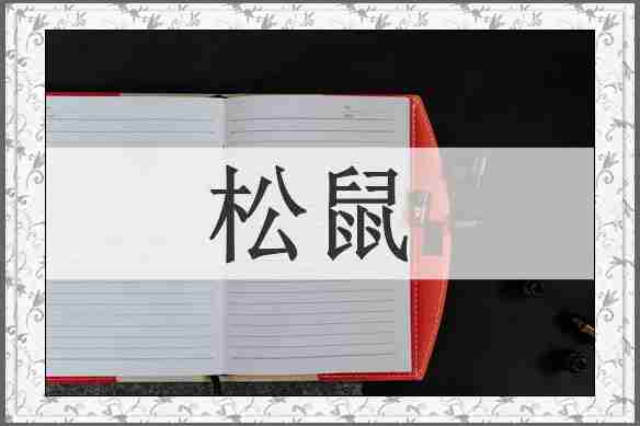 松鼠