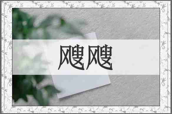 飕飕