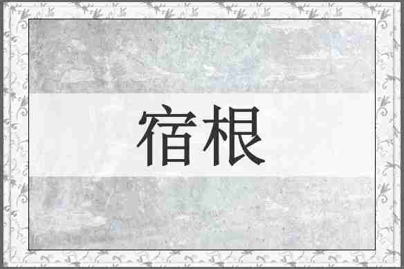 宿根