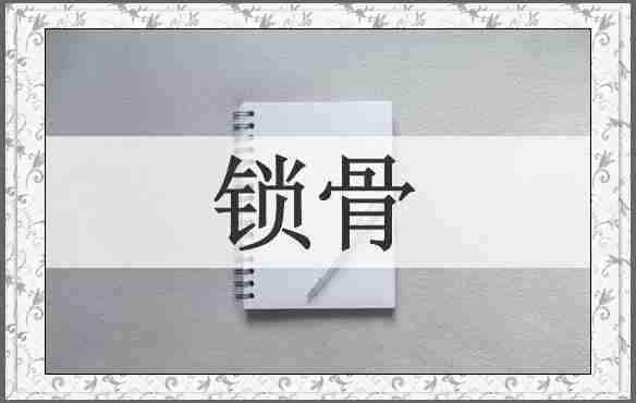 锁骨