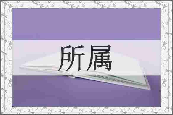 所属