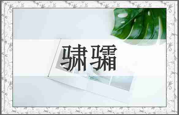 骕骦