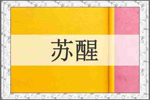 苏醒