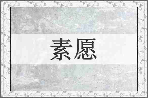 素愿