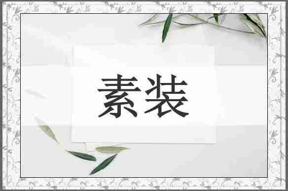 素装