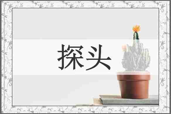 探头