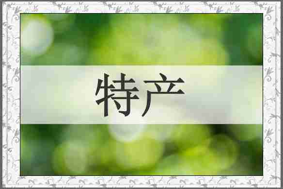 特产
