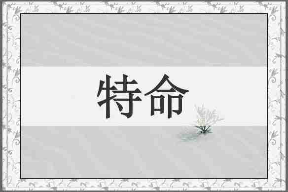 特命