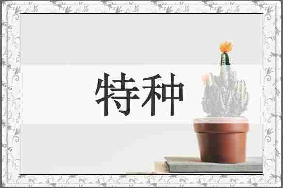 特种