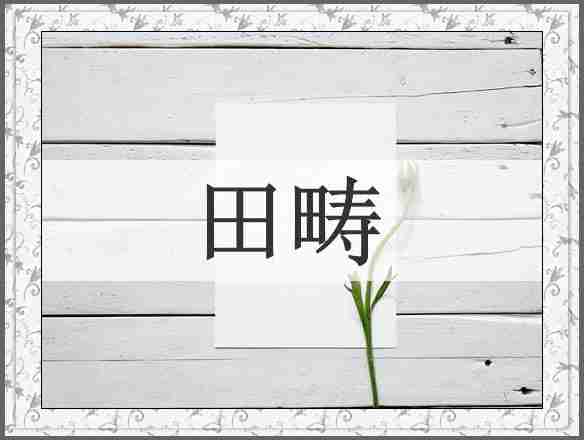 田畴
