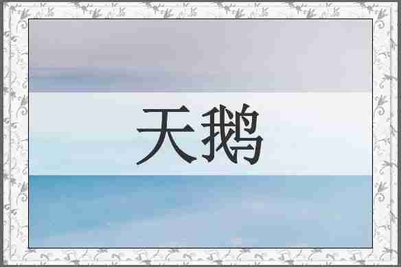 天鹅
