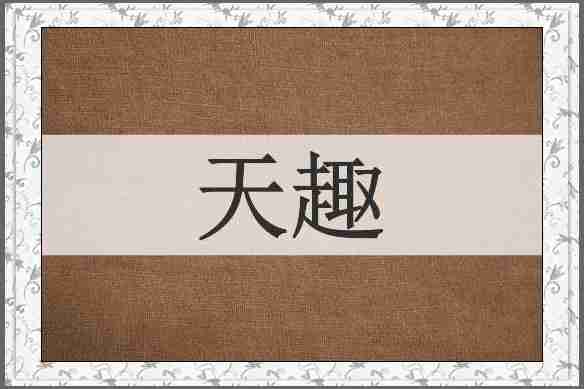 天趣